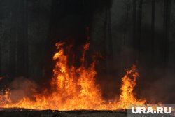 Кухарук поставил задачу подчиненным по тушению лесных пожаров в ХМАО